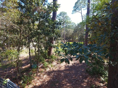 Escape the Ordinary: Your Emerald Coast Dream Starts Here - photo 15