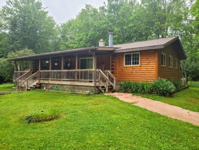 Bass Lake - Price County  Home For Sale in Park Falls Wisconsin
