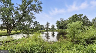 Epic Waterfront Estate on the Potomac River Welcome to 11305 - photo 39