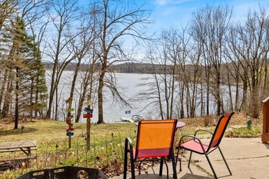 Turn-key lakefront living on beautiful Long Trade Lake in Polk - photo 44