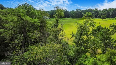 Epic Waterfront Estate on the Potomac River Welcome to 11305 - photo 44