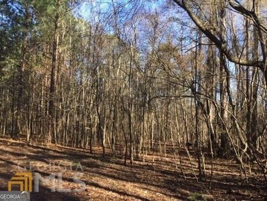 (private lake, pond, coastal) Acreage For Sale in Fayetteville Georgia