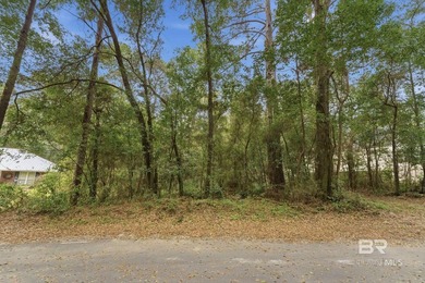 *Incredible Opportunity!!!* Build your dream home on this - photo 3