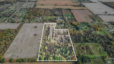 Lake Acreage For Sale in Almont, Michigan