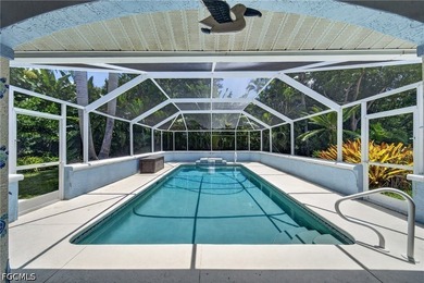 Heated Saltwater Pool | No Flood Zone | New Metal Roof (2023) - photo 25