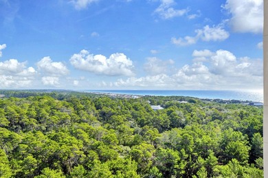 Fantastic view of the Gulf of Mexico from the balcony of this - photo 2