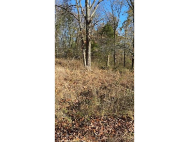 Lake Loch Lomond Lot For Sale in Bella Vista Arkansas