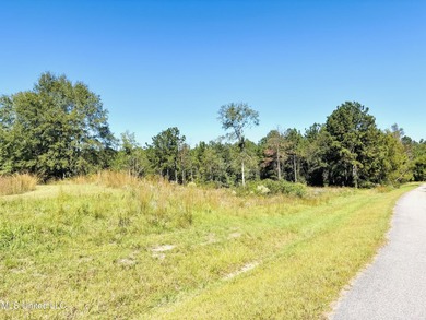 Looking for the perfect property to build your next home? - photo 12
