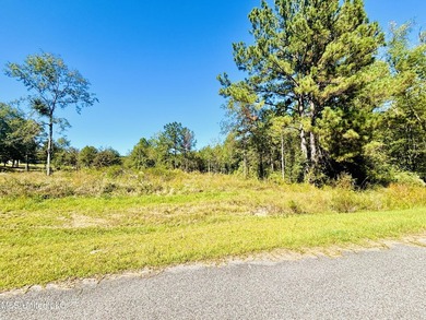 Looking for the perfect property to build your next home? - photo 13