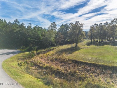 Looking for the perfect property to build your next home? - photo 14