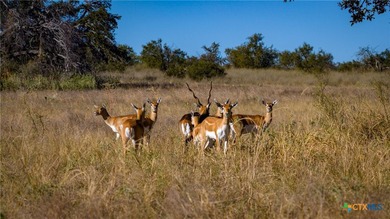 The Wright Ranch offers +-316 high-fenced acres of rare Hill - photo 26
