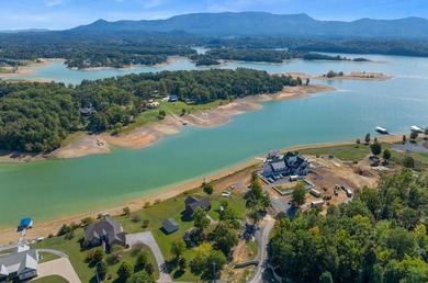 Where do you start with a home of this magnitude? You have the - photo 33