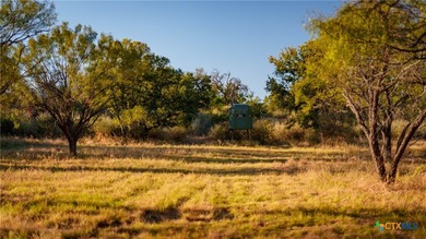 The Wright Ranch offers +-316 high-fenced acres of rare Hill - photo 35