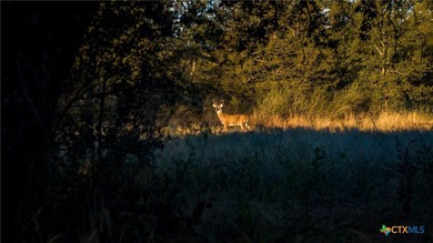 The Wright Ranch offers +-316 high-fenced acres of rare Hill - photo 42
