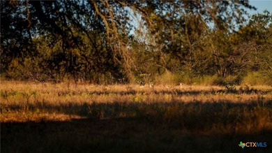 The Wright Ranch offers +-316 high-fenced acres of rare Hill - photo 44