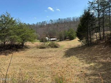 3.05 acres in Mohawk, TN offering a beautiful country setting - photo 3