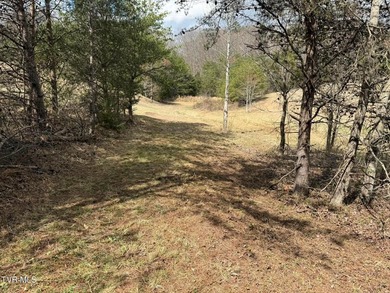 3.05 acres in Mohawk, TN offering a beautiful country setting - photo 4