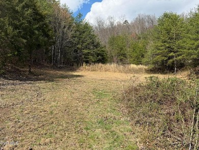 3.05 acres in Mohawk, TN offering a beautiful country setting - photo 6