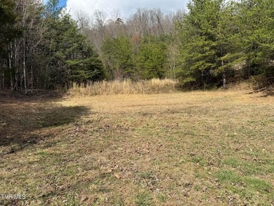 3.05 acres in Mohawk, TN offering a beautiful country setting - photo 8