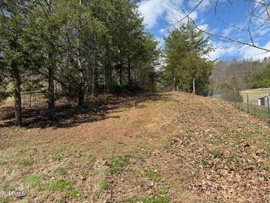 3.05 acres in Mohawk, TN offering a beautiful country setting - photo 9