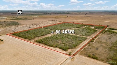 (private lake, pond, coastal) Acreage For Sale in Edinburg Texas