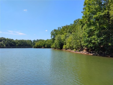 RARE FIND! About 6.6 acre private tract with nice corp line and - photo 3