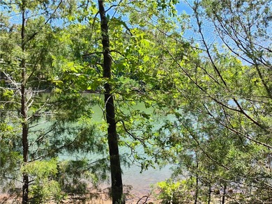 RARE FIND! About 6.6 acre private tract with nice corp line and - photo 4
