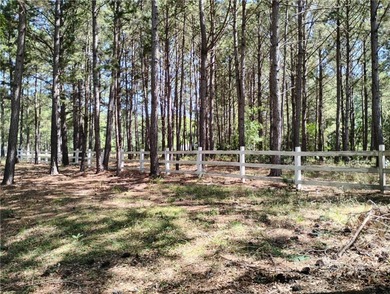 RARE FIND! About 6.6 acre private tract with nice corp line and - photo 5