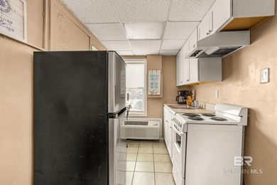 Beautiful studio/efficiency condo perfectly located directly - photo 8