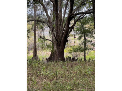Lake Acreage For Sale in Tallahassee, Florida