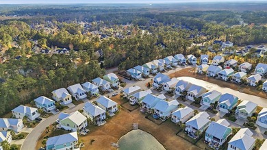 Coastal-Chic Split-Level in Sought-After Prince Creek - Primary - photo 34