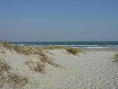 Coastal-Chic Split-Level in Sought-After Prince Creek - Primary - photo 45