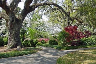 Coastal-Chic Split-Level in Sought-After Prince Creek - Primary - photo 47
