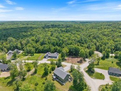 Welcome to 43 Rose Douglas Lane, a thoughtfully designed - photo 49