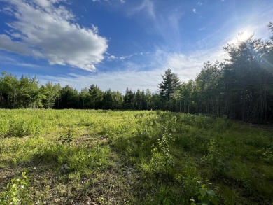 Pushaw Lake Acreage For Sale in Bangor Maine