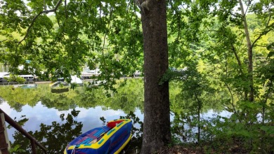 3 BR - 2 BA in a PRIME location at ROUGH RIVER LAKE!! - photo 40