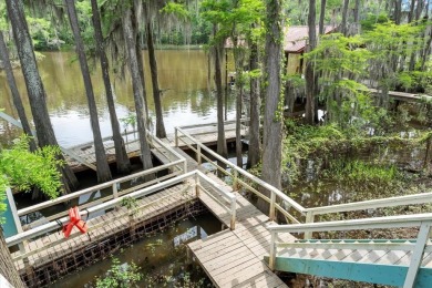 Welcome to the Lakehouse on Big Cypress River on Caddo Lake! - photo 4