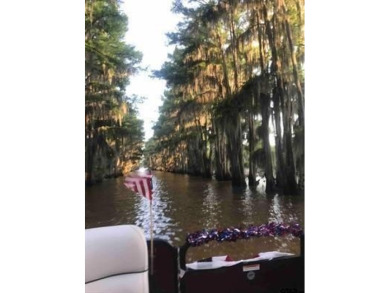 Welcome to the Lakehouse on Big Cypress River on Caddo Lake! - photo 9