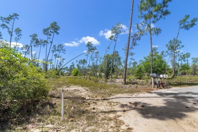 Discover the perfect opportunity to own 5 acres of raw land in - photo 11