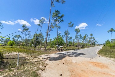 Discover the perfect opportunity to own 5 acres of raw land in - photo 12