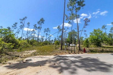 Discover the perfect opportunity to own 5 acres of raw land in - photo 13