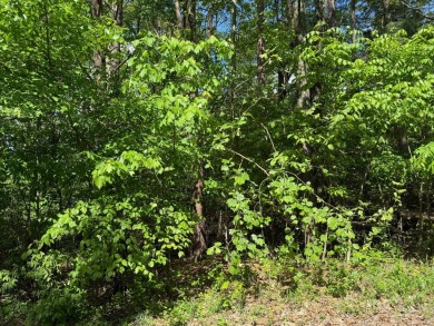 Lake Lot For Sale in Santa Claus, Indiana