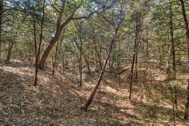 Discover the unparalleled beauty and tranquility of lakefront - photo 8