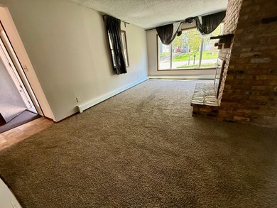 Rare duplex opportunity in Buffalo! Well-maintained and updated - photo 13