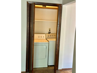 Rare duplex opportunity in Buffalo! Well-maintained and updated - photo 14