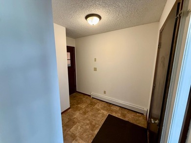 Rare duplex opportunity in Buffalo! Well-maintained and updated - photo 18