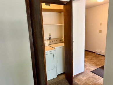 Rare duplex opportunity in Buffalo! Well-maintained and updated - photo 19