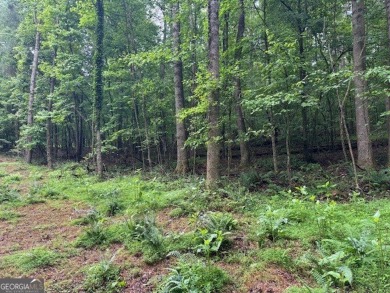 Lake Lot For Sale in Ellijay, Georgia