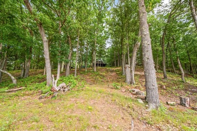 Escape to the quiet side of lake living. This 3-bedroom, 2-bath - photo 28