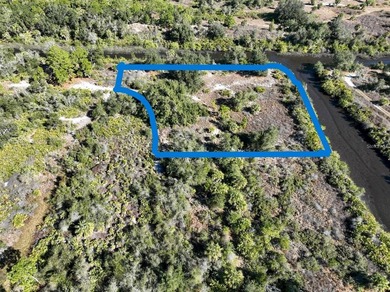 0.38 Acre lot located on Scott Canal which leads to Peace River - photo 2